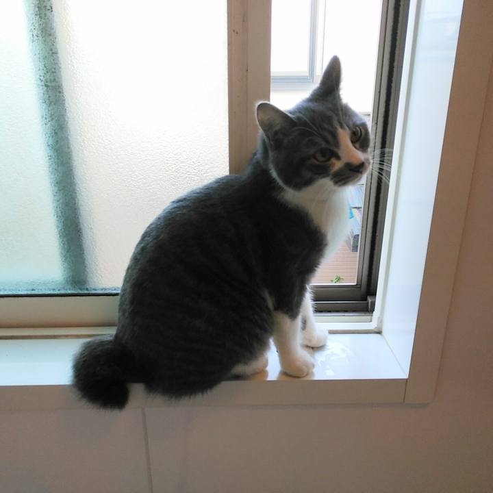 1cecd2fc 3fec 450c 89af d655a7e682cd 1576624404862