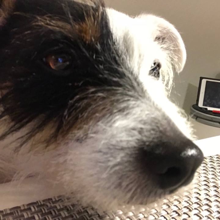 1cecf31b e10e 411b 8015 4eb6ac0cf2f8 1520858538353