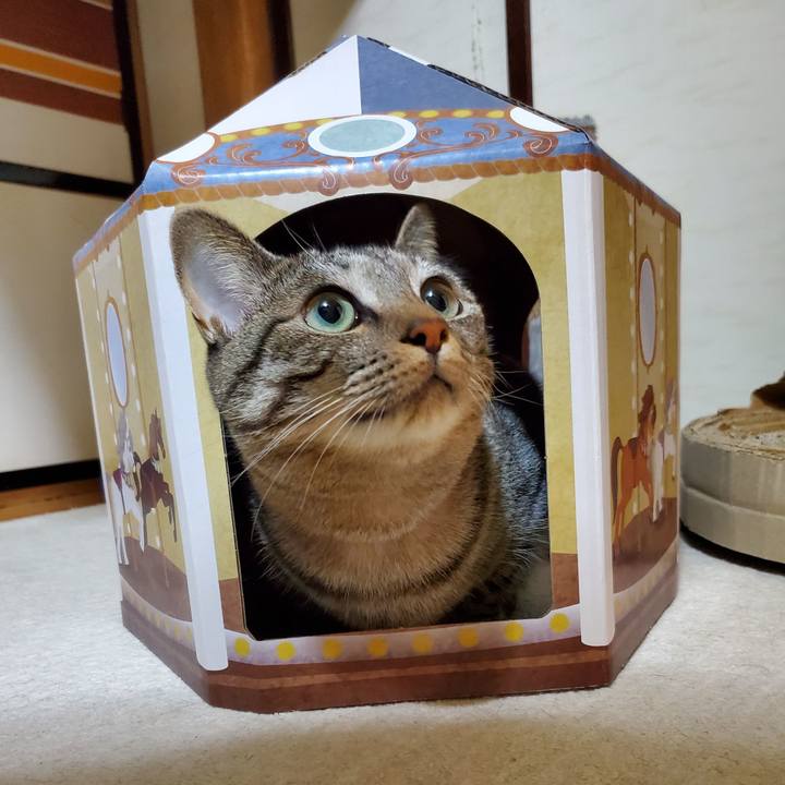 1cecfd6a fe46 4f16 9601 41875af9634b 1701607081521