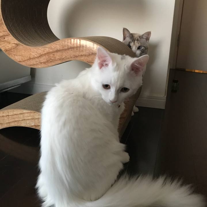 1ced02e5 54cc 43a1 ad82 dfc7263d7e6c 1515239657379