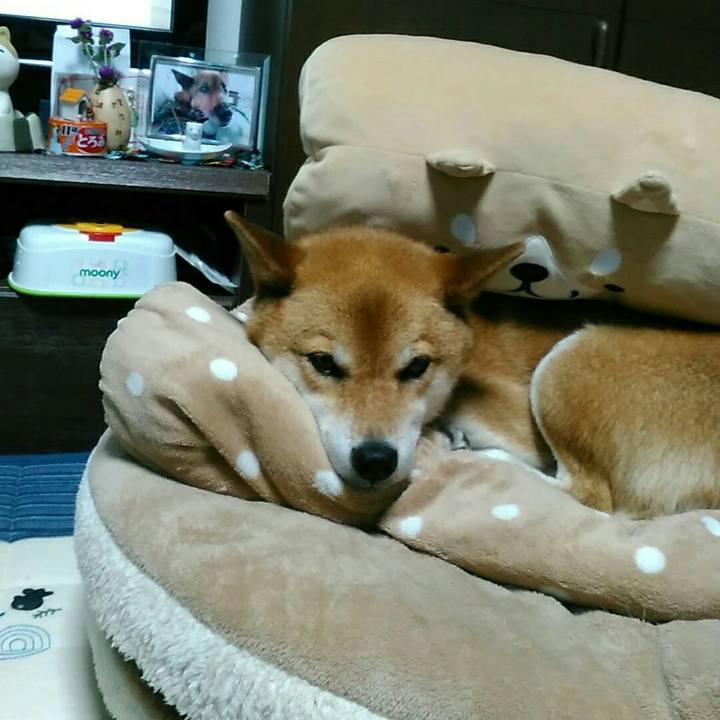 1ced049d bd2b 475c 90fc ed0000357a8d 1565685577675