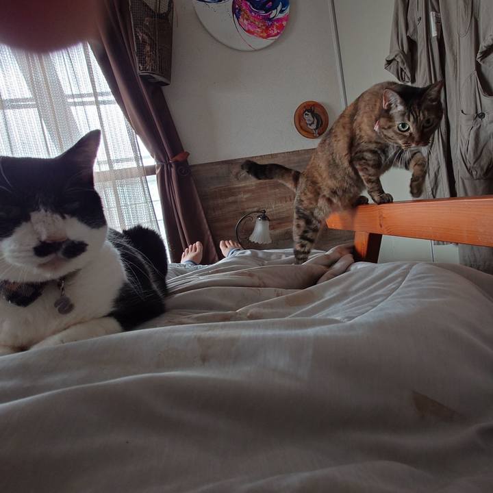 1ced4567 bd8e 4fa8 b807 90e81503ed94 1759806199821