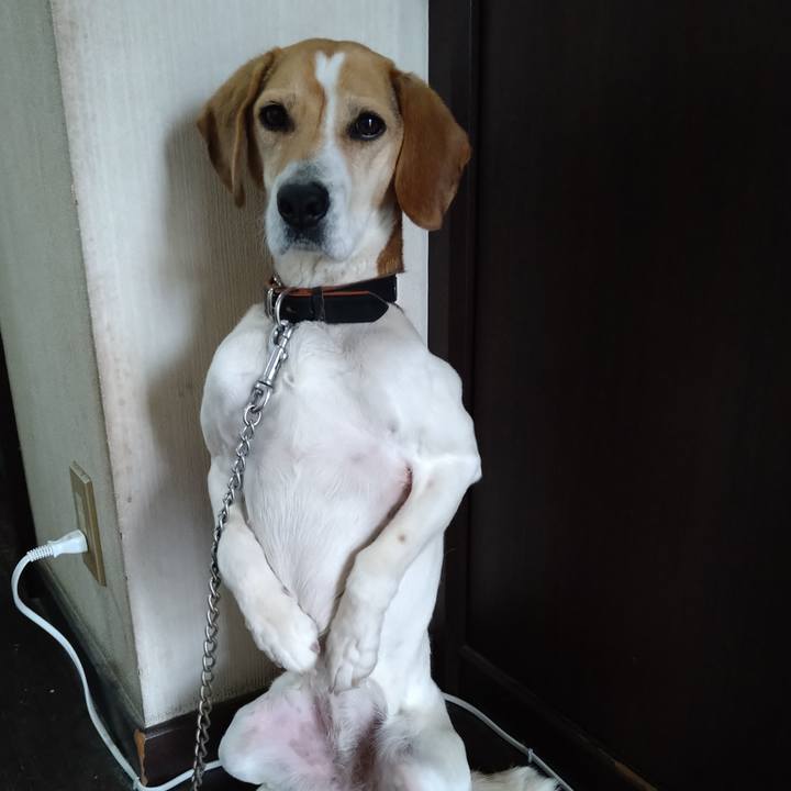 1ced4638 9652 4a6d 8574 58916ab832d6 1650521964727