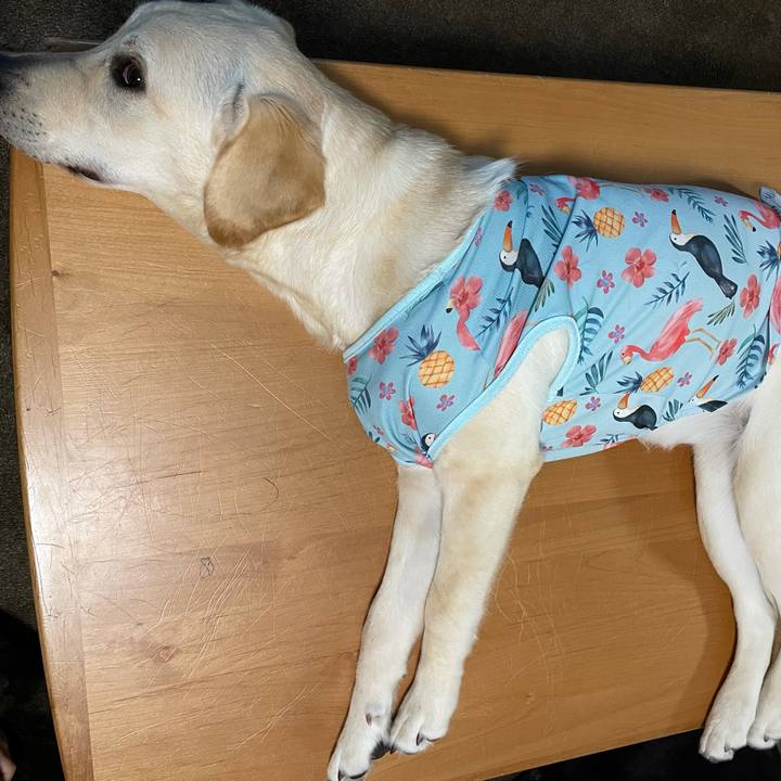 1ced4a20 8e5b 441c 971c 3748f6ce66c5 1622212697568