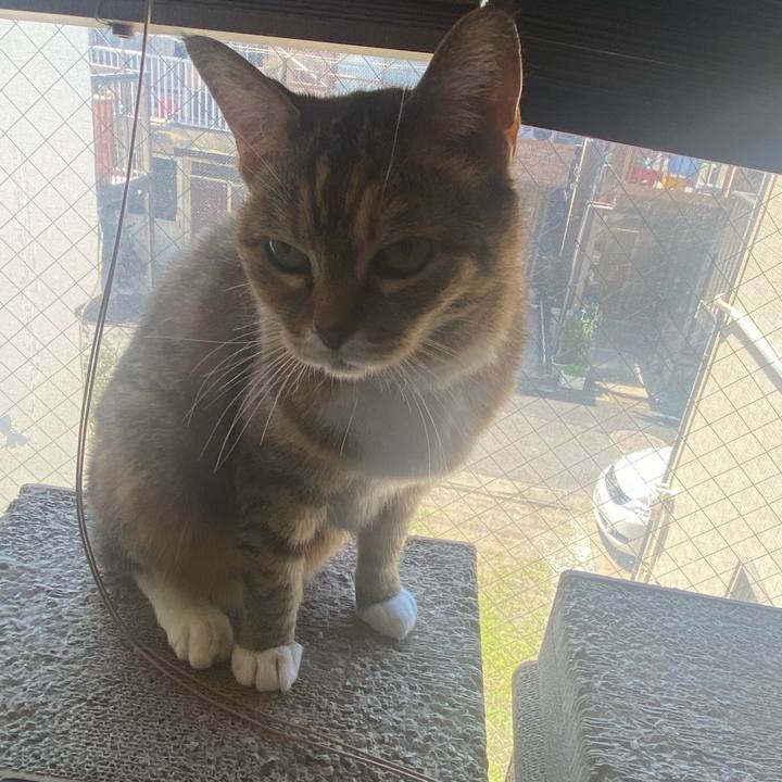 1ced541f acbf 4860 80ee 75b5656a281d 1717808746132