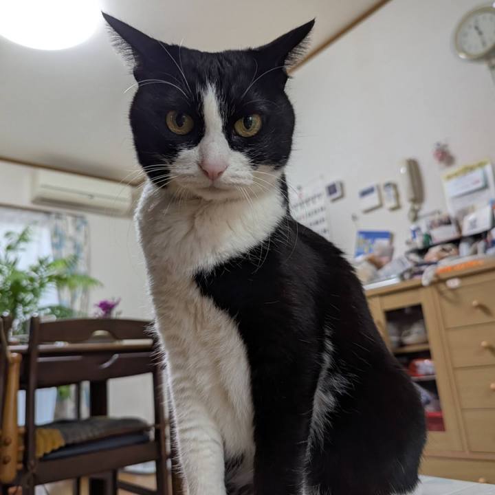 1ced5e45 4c3d 4379 9cf3 c5bdb23aee06 1770619917274