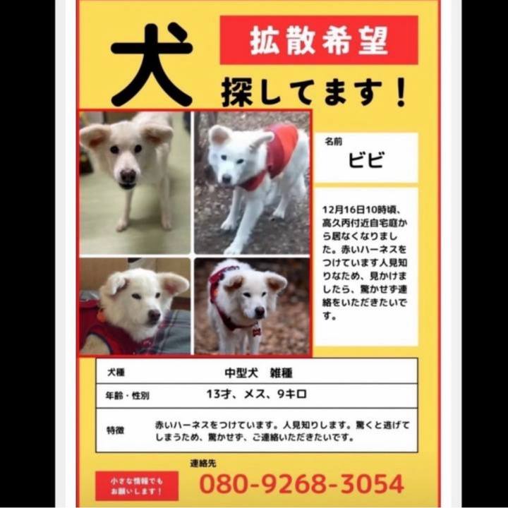 1ced8273 5f29 4d22 b4f3 03349c862070 1703395384073