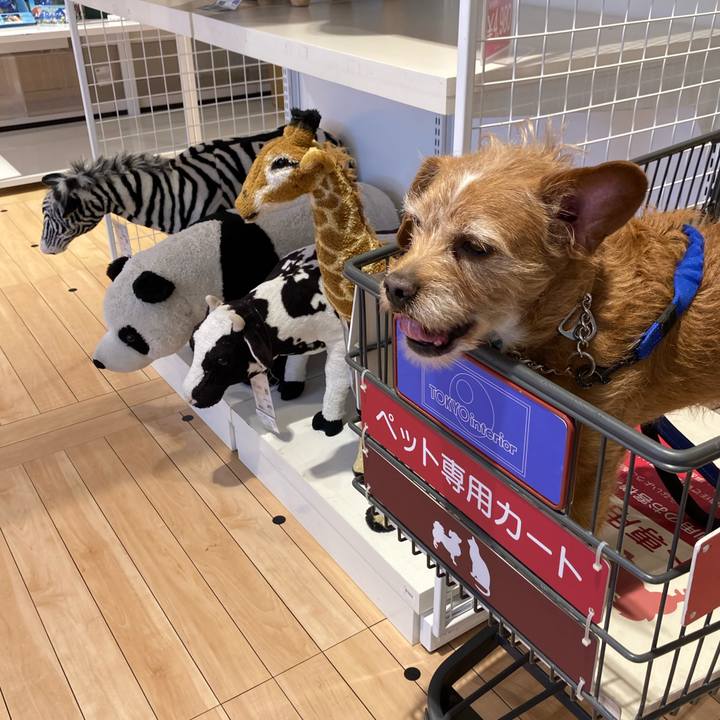 1cedc340 ecb9 44bd b426 e831f067715f 1646652047814