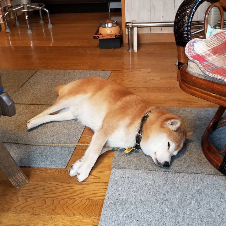 1cedd9ed 8eaa 475c 8afd 36ea3242323d 1638057352812