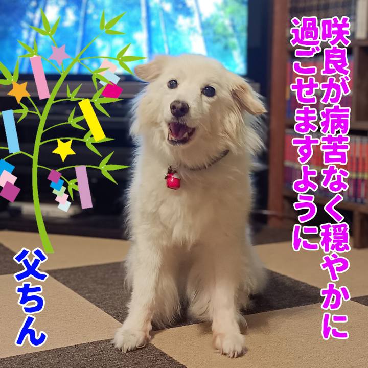 1cede260 88c8 49ec a3ef 3bcb7d0d37f5 1751892934990