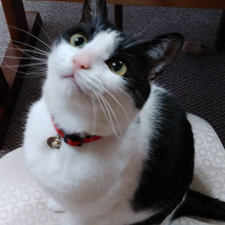 1cedfb0a ecdc 45a6 a8e7 126865c326ca 1587339390370