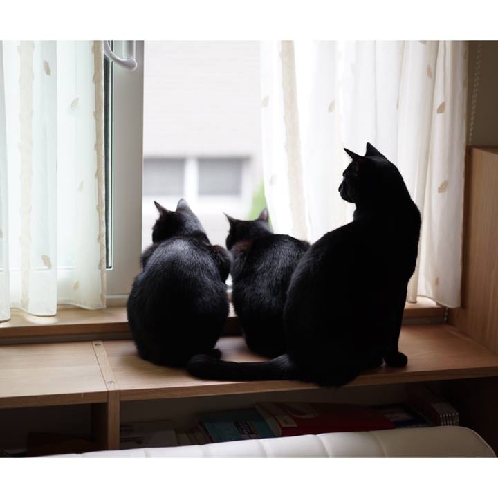 1cee09a0 9809 4701 8f10 8d97c5448191 1557825893692