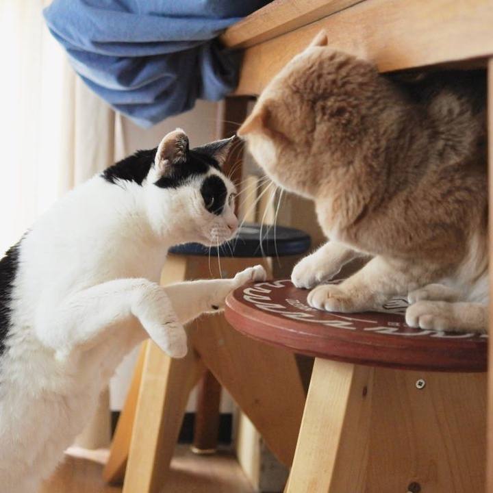 1cee2283 fb3a 442d b365 be094adb6e00 1643524553014