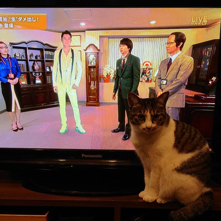 1cee3034 6673 46cc a41c 04548ec0c5d1 1577792764629