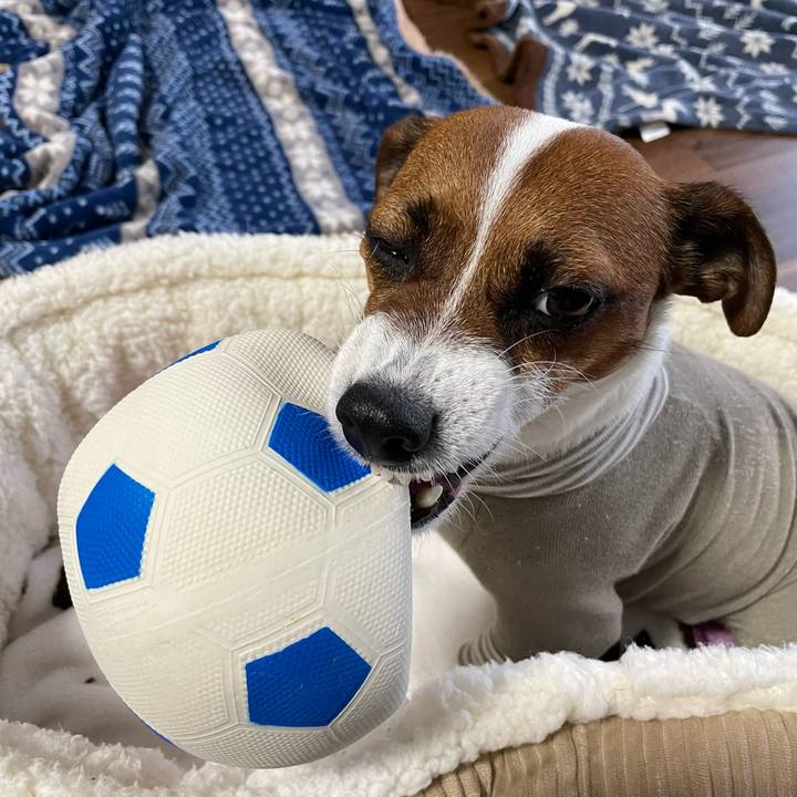 1cee4776 752f 4a7a 92e1 9e0588275d8d 1646643605270