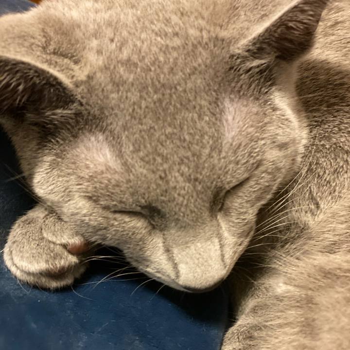 1cee883f 7890 4726 8768 a6bd2d6497ca 1597490321974