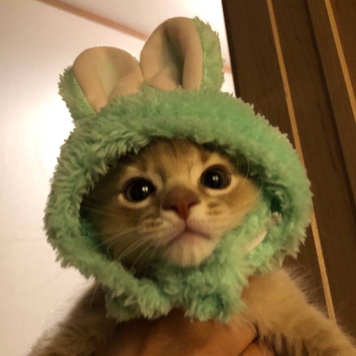 1ceea13d 798e 4fbf a615 7d6462e3540d 1542768352830