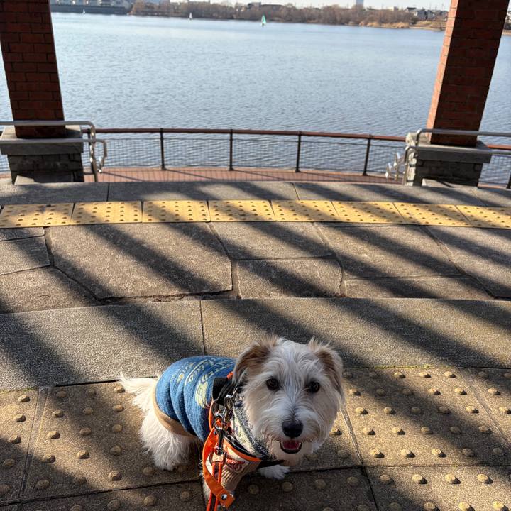 1ceeae99 8c0c 470d 9dc6 46990893f55c 1768639097676