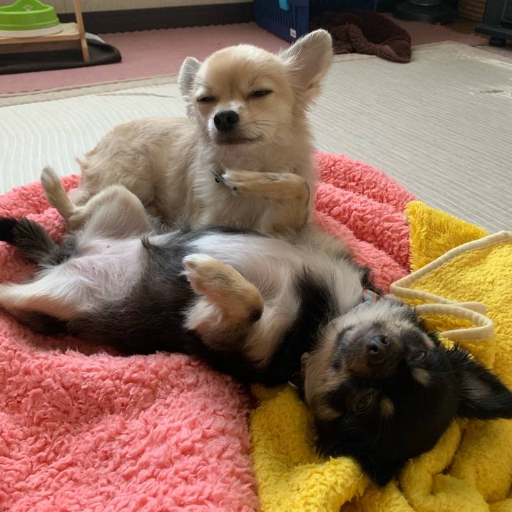 1ceeb0c7 4809 40b6 9683 63534d233f5b 1590915004544