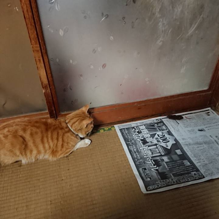 1cef0d59 55de 4def 989d b07d1dbeefbf 1589610988800