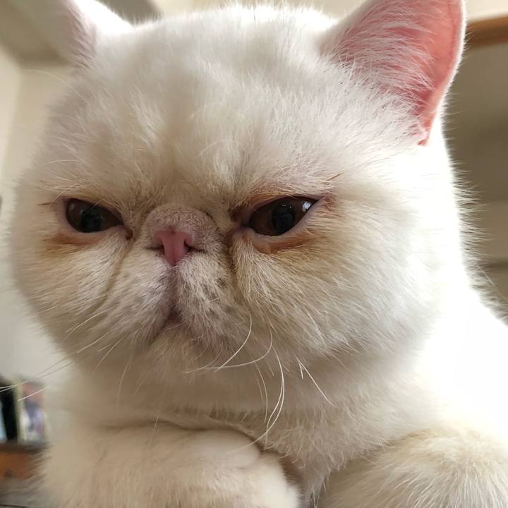 1cef2efa 182a 49dc 9933 3352c7b785ca 1566609738450