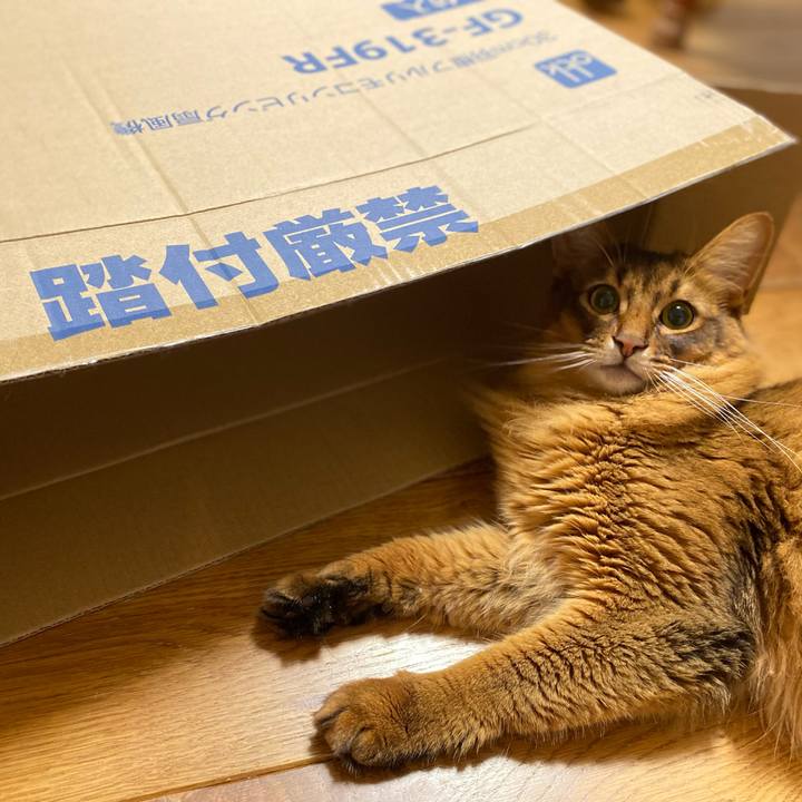 1cef3f7c 7d2a 45e1 a59f 8b05573c72fe 1657156356805