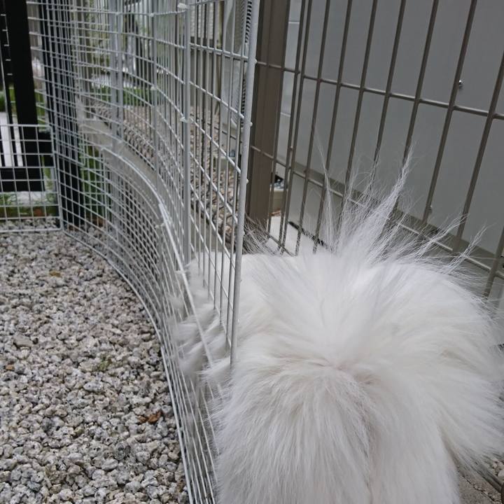 1cef6315 8ef9 424f 9871 ef35f0471e6e 1542090257924