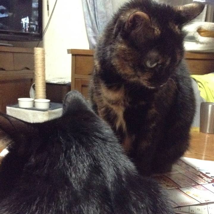 1cef8ada e9e9 4339 8f05 e19268681c66 1518266861987