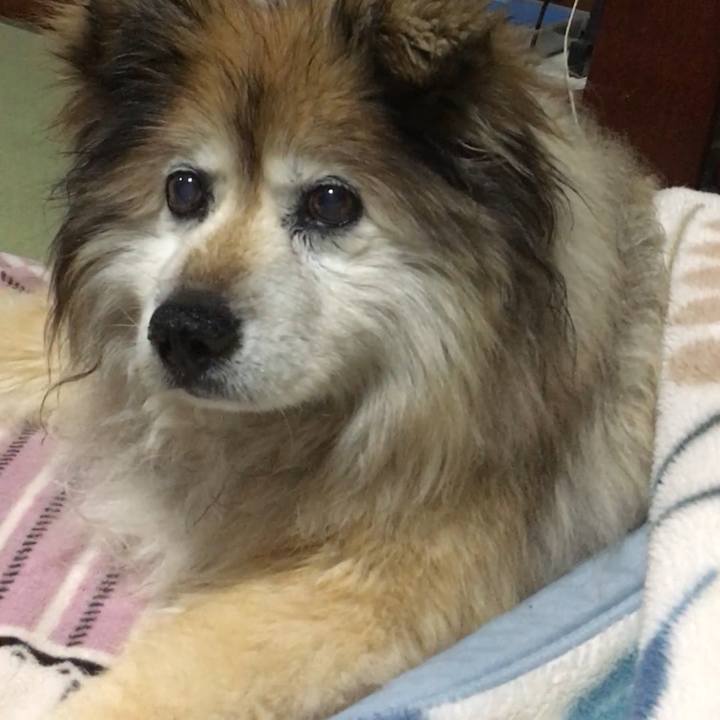 1cefa277 fdf7 48ad a30c 589bc0019991 1552943227031