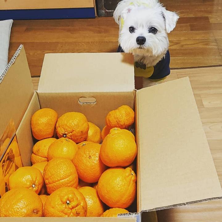 1cefb84f 730d 4184 8002 0a1be4169ffb 1614935183687