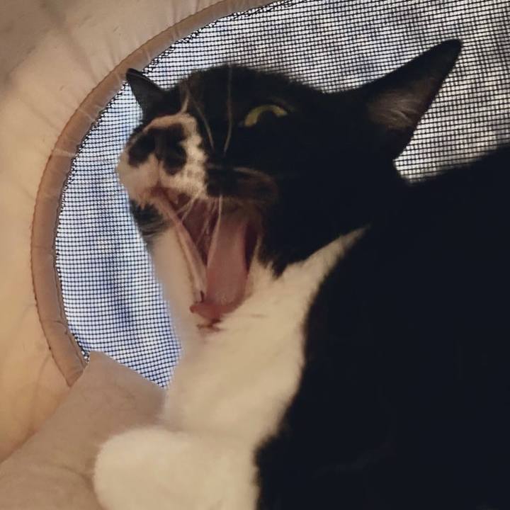 1cf009b8 4f3f 4b3d a1a8 cb5648091043 1685146628799