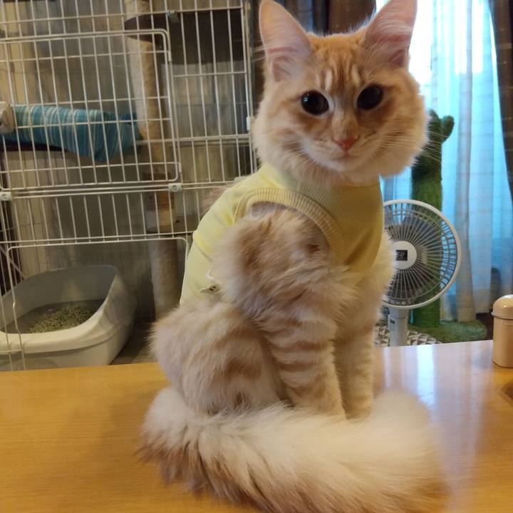 1cf016f0 7ecb 4641 89aa 8c66b5905419 1614721232421