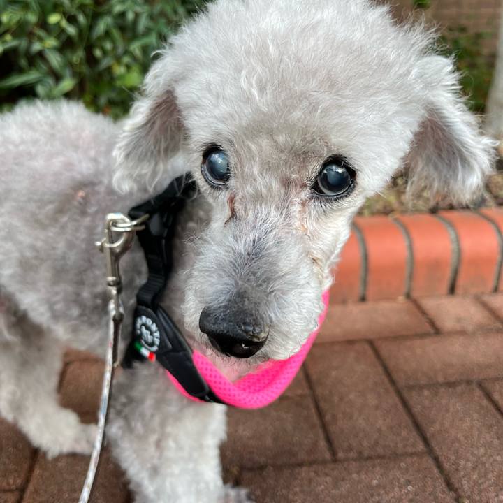 1cf01fe9 16b7 43b9 a86f c07e50bd1e1a 1690888276328