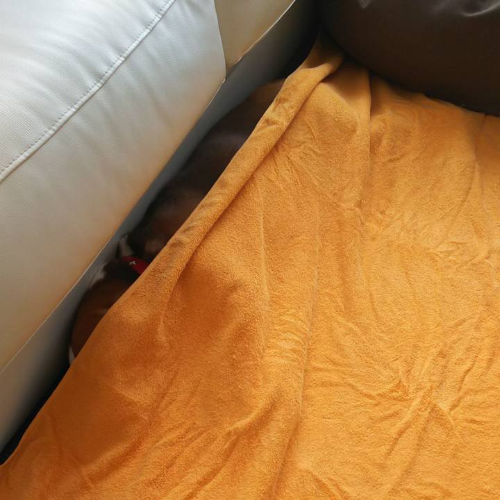 1cf04ea2 cac6 4d57 8044 19c9786306ad 1598763066155