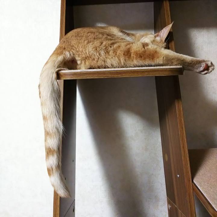 1cf05754 b2e1 44b2 8635 cdc9e2510f26 1557053055079