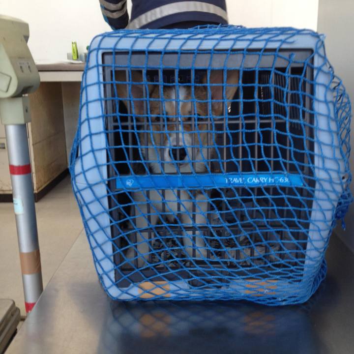 1cf0a0e1 19ee 4a4e a0fa f31daebcf6f9 1767077173413