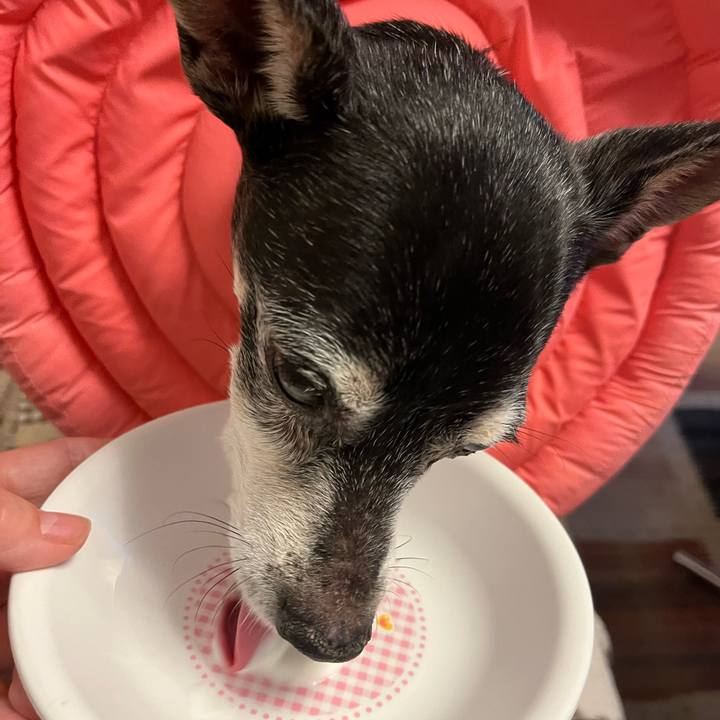 1cf0aa29 7749 4a26 b605 0ae8d9f06ee7 1641852977590