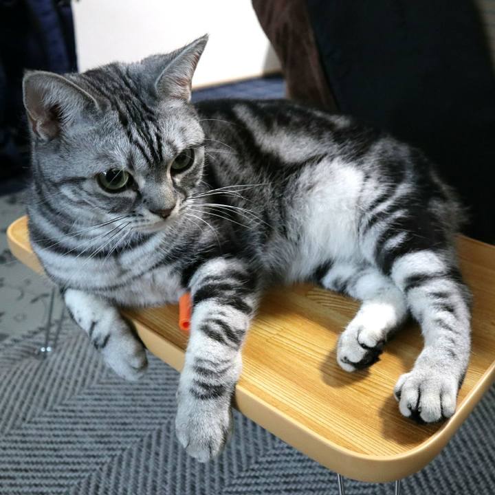 1cf0be9e 2a4d 4611 8073 78563adb20be 1593323739869