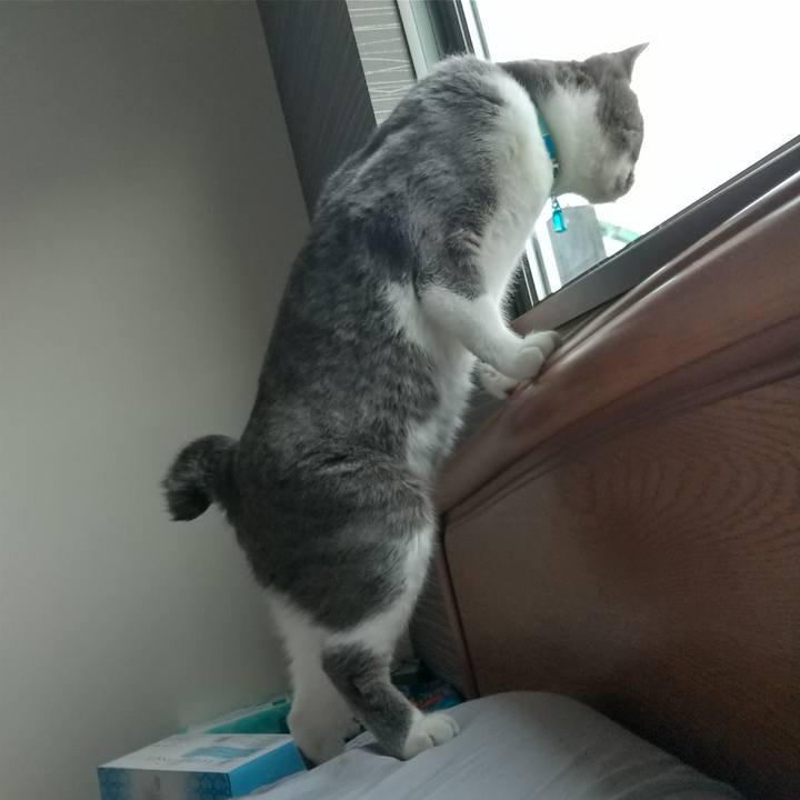 1cf0c14c b8c4 408b 92e3 caff4ce35d67 1637454557909