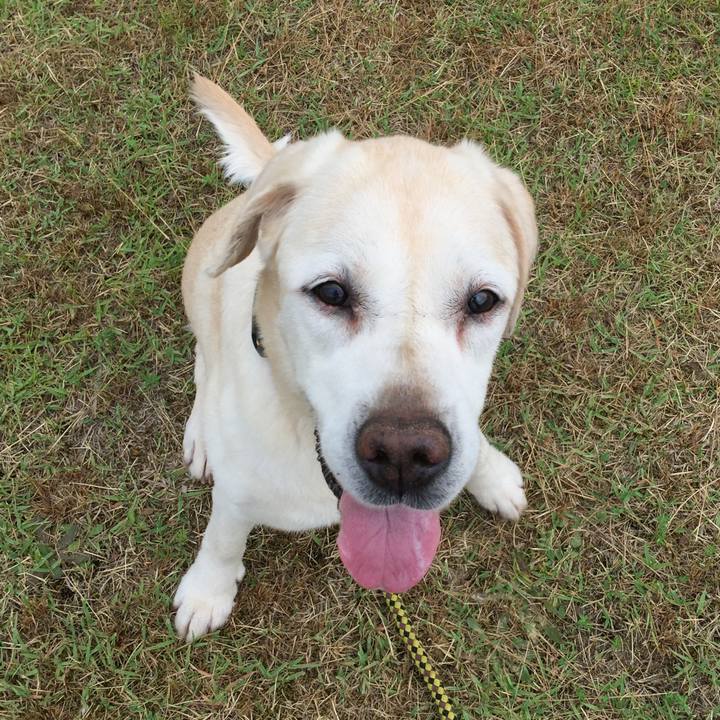 1cf0c953 ec71 419e b717 5a8d9581ca84 1530094006562