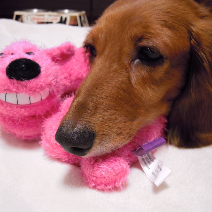 1cf0d0e9 16b8 4845 ab0b b751e1dc02e9 1536861280537