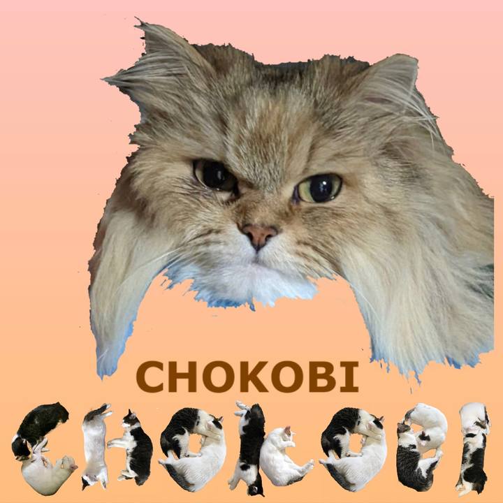 1cf0f8fe 18c9 41c0 9877 dbfafed8d64b 1669089539310