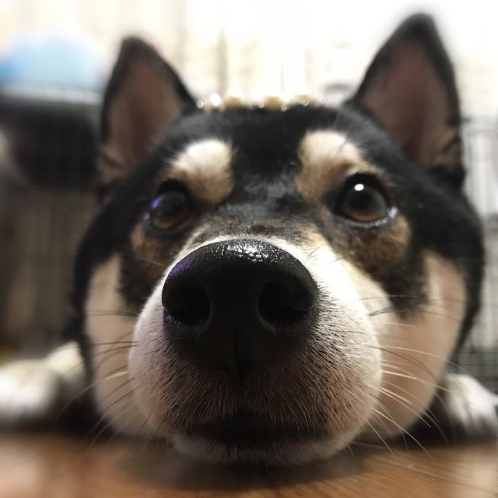 1cf101a1 96e3 4897 921a 9afa57b2b097 1539060716719