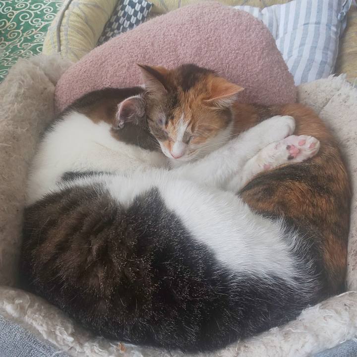 1cf1a18b 1c53 4ff2 a16a 94eaf12a31ec 1645463365036