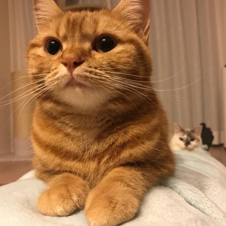 1cf1ddaa 5267 432b 9e00 08a4afc2d663 1507985776368