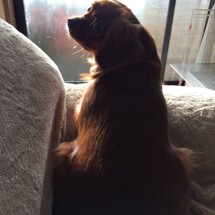 1cf1efe9 87e9 4a0f 8ac3 51c9fcde8903 1511907124515