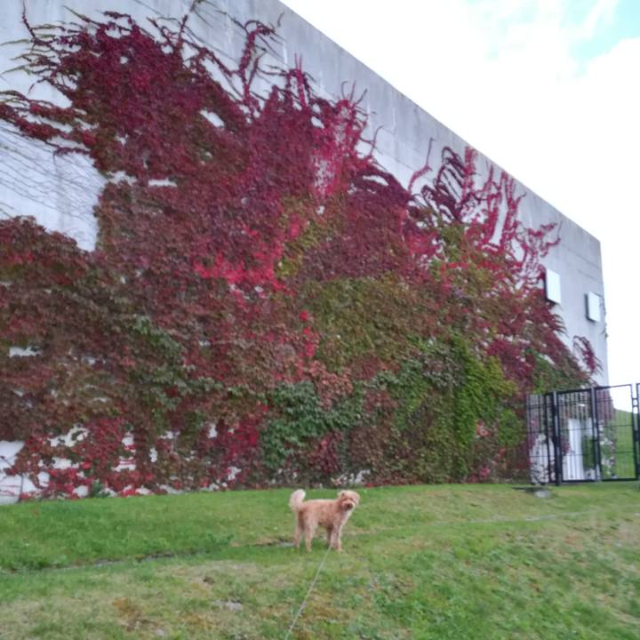 1cf1f759 22ec 4d3e 958e 51fdc4264960 1537741419832