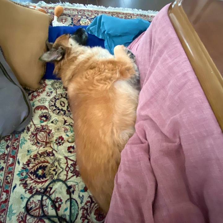 1cf22655 ac82 4e2e 995d a8c78b1f49bd 1763521918141