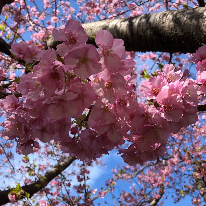 1cf236c2 436e 4b45 9f06 c253e11b6446 1614047429938