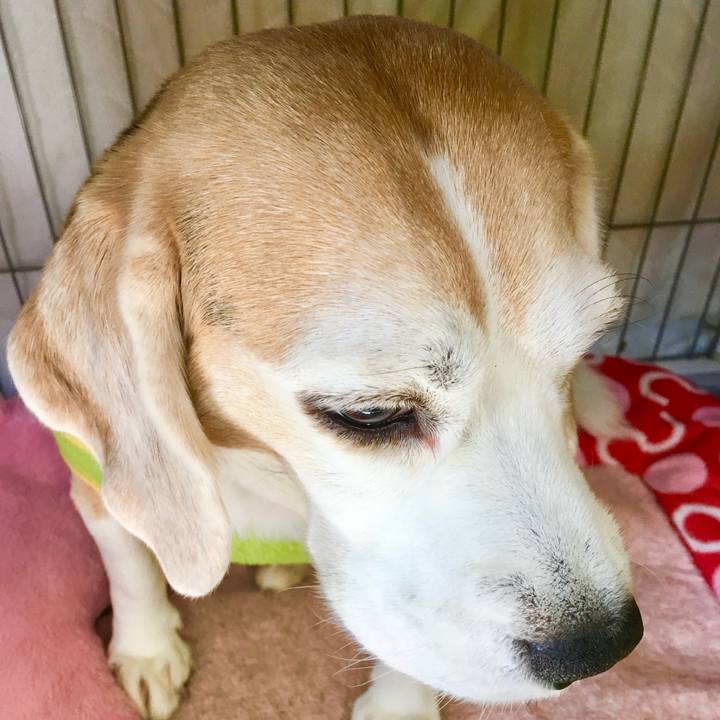 1cf23795 d941 4578 84fe 2eccaf9c401b 1768984826788